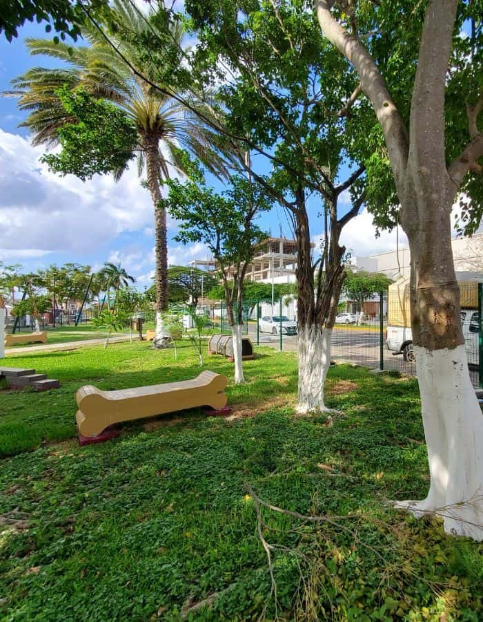 A shaded park area features trees with white-painted trunks and a beige bench shaped like a dog bone. Green grass and scattered palm trees create a tropical atmosphere under a partly cloudy sky.