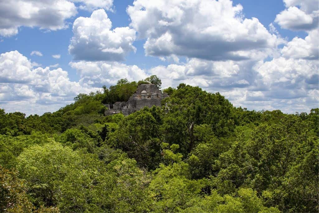 Ancient Mayan ruin partially hidden by dense jungle foliage in Campeche, Mexico, with a stone structure peeking above the treetops. Puffy white clouds fill the bright blue sky, enhancing the remote and lush landscape.
