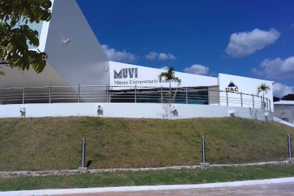 Modern white building on a grassy hill with signage reading "MUVI Museo Universitario de la Vida" and "UAC." The structure features sleek architectural lines, palm trees, and a backdrop of bright blue sky with scattered clouds.