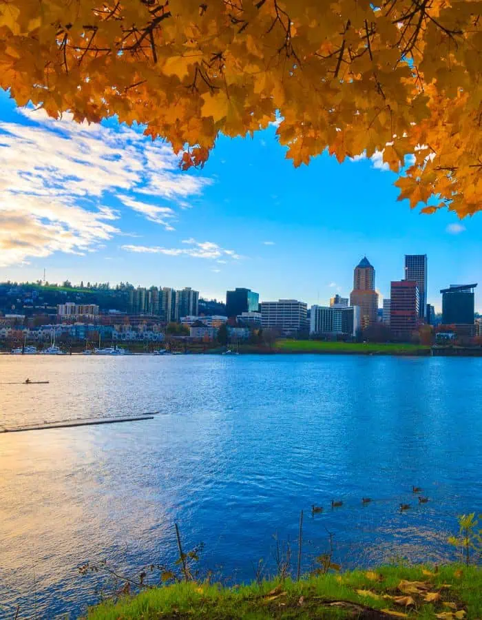 A peaceful view of downtown Portland, Oregon, with its skyline rising behind a calm river under a bright blue sky. Golden autumn leaves frame the top of the image, and a small group of ducks glides across the water in the foreground.