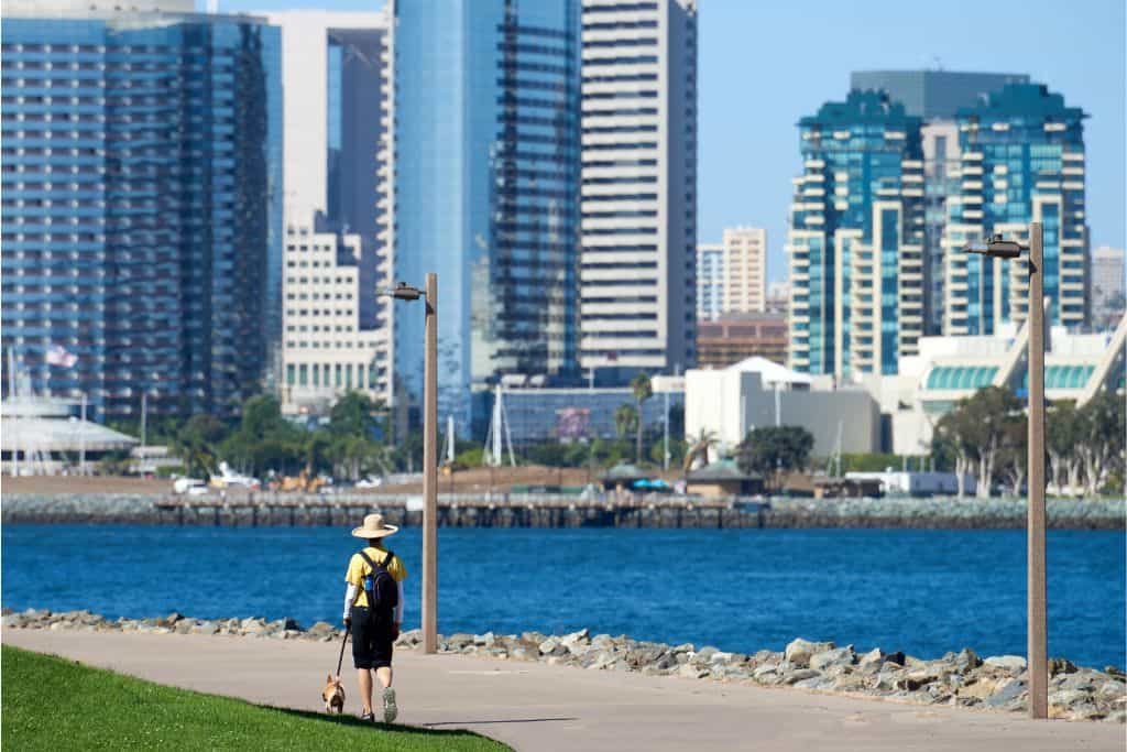 A person wearing a hat and backpack walks along a sunny waterfront path in San Diego, with tall modern buildings and a deep blue harbor in the background. The scene captures a relaxed, urban coastal vibe with clear skies and palm-lined streets.