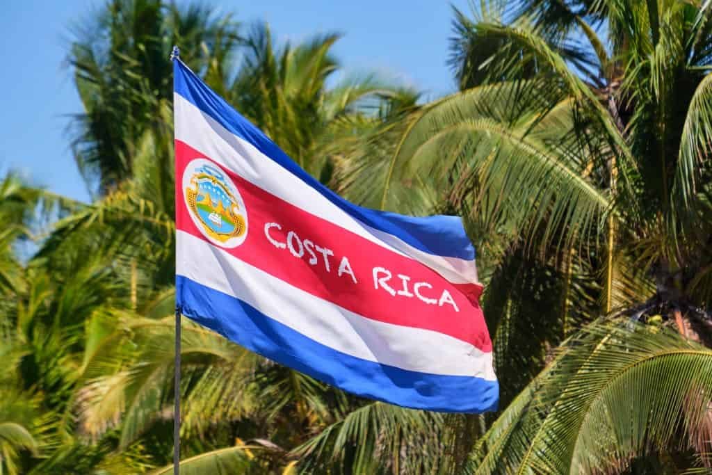This image shows the Costa Rican flag waving in the wind, with palm trees filling the background. The flag’s red, white, and blue stripes and the national emblem stand out against the tropical greenery and clear sky.