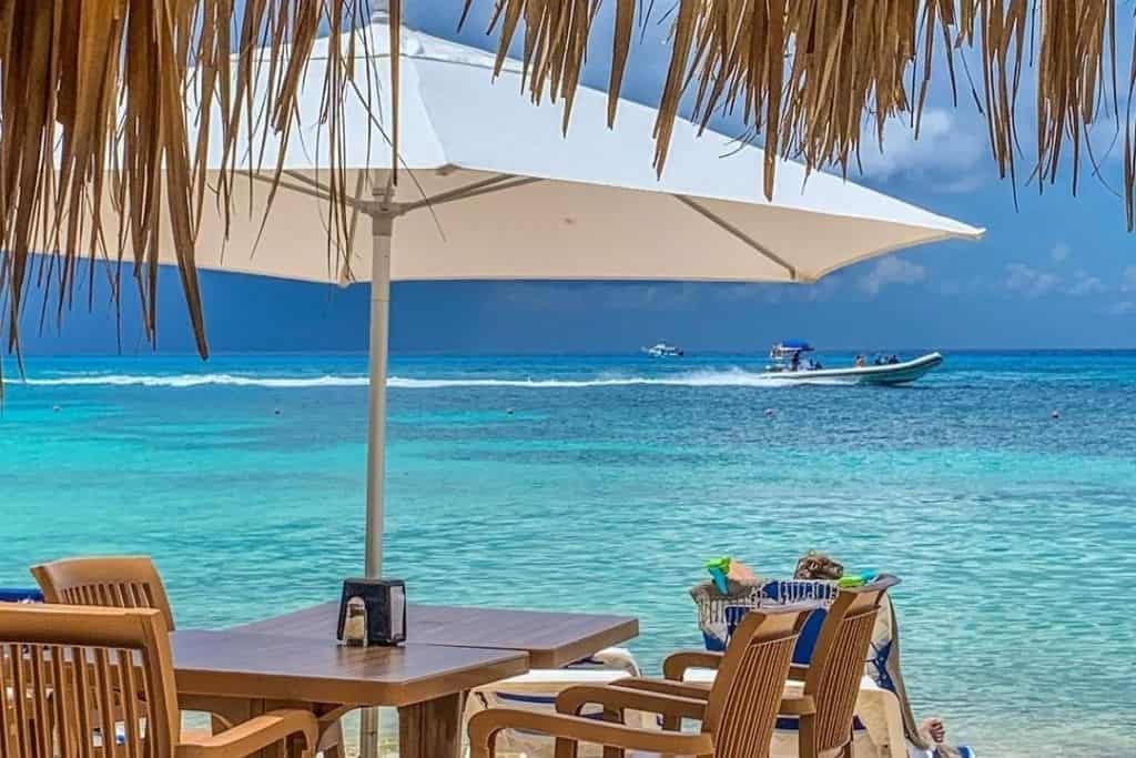 View from Mr. Sanchos