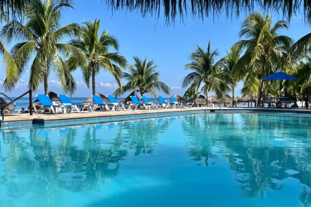 A tropical poolside scene with calm blue water reflecting palm trees and a clear sky. Blue lounge chairs line the pool under the shade of palm trees, creating a relaxing vacation vibe. The ocean is visible in the background, adding to the beach resort atmosphere.