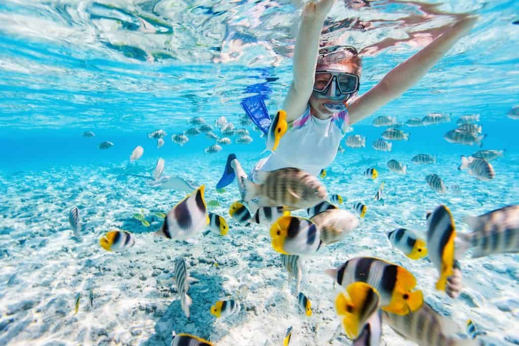 A snorkeler in clear, shallow water reaches out towards a school of colorful tropical fish, including black-and-yellow butterflyfish and sergeant majors. Sunlight filters through the water, illuminating the sandy ocean floor and enhancing the vibrant hues of the fish.
