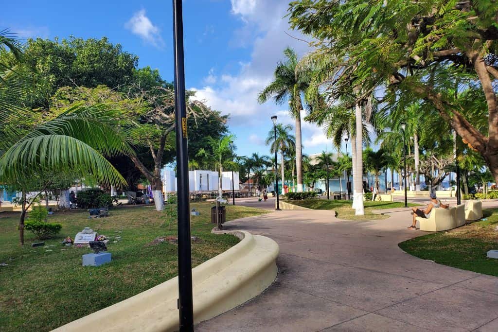 Peaceful park in Cozumel with winding walkways, benches, palm trees, and lush greenery, set against a backdrop of blue skies and soft clouds.