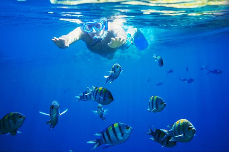 This underwater image captures a snorkeler exploring the crystal-clear waters of Cozumel, Mexico, surrounded by a school of vibrant sergeant major fish. The snorkeler, wearing a mask and snorkel, reaches out as the sunlight filters through the water, illuminating the scene. The fish, with their striking yellow and black stripes, add to the beauty of this serene marine adventure.