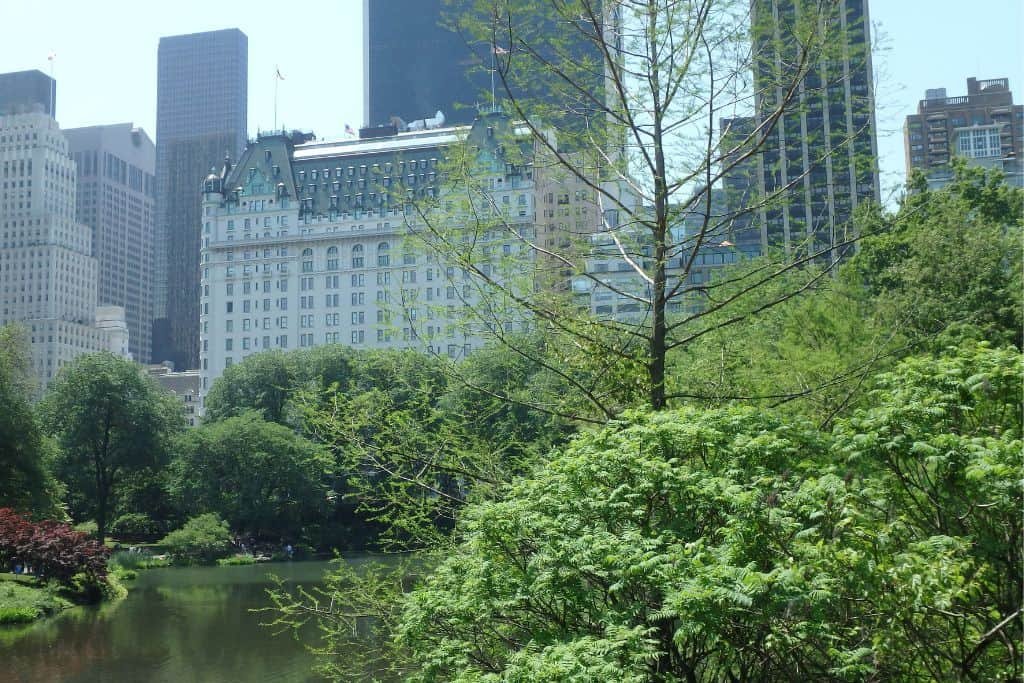 Central Park in New York City.