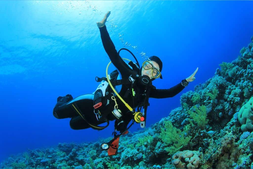 A scuba diver enjoying a day trip to Cozumel from Playa del Carmen
