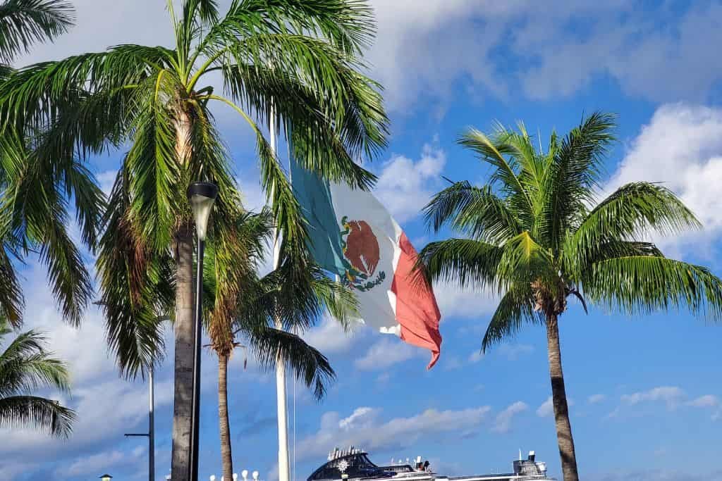 A Mexican flag waving between tall palm trees against a bright blue sky with scattered clouds. A lamppost stands nearby, and part of a building or vehicle roof is visible in the background. The scene captures a coastal tropical vibe with national symbolism.