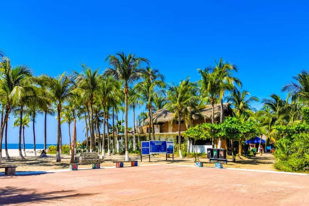 ChatGPT said:
A cluster of tall palm trees surrounds a thatched-roof building near a sandy beach. Clear blue skies and tropical landscaping create a relaxed coastal atmosphere.