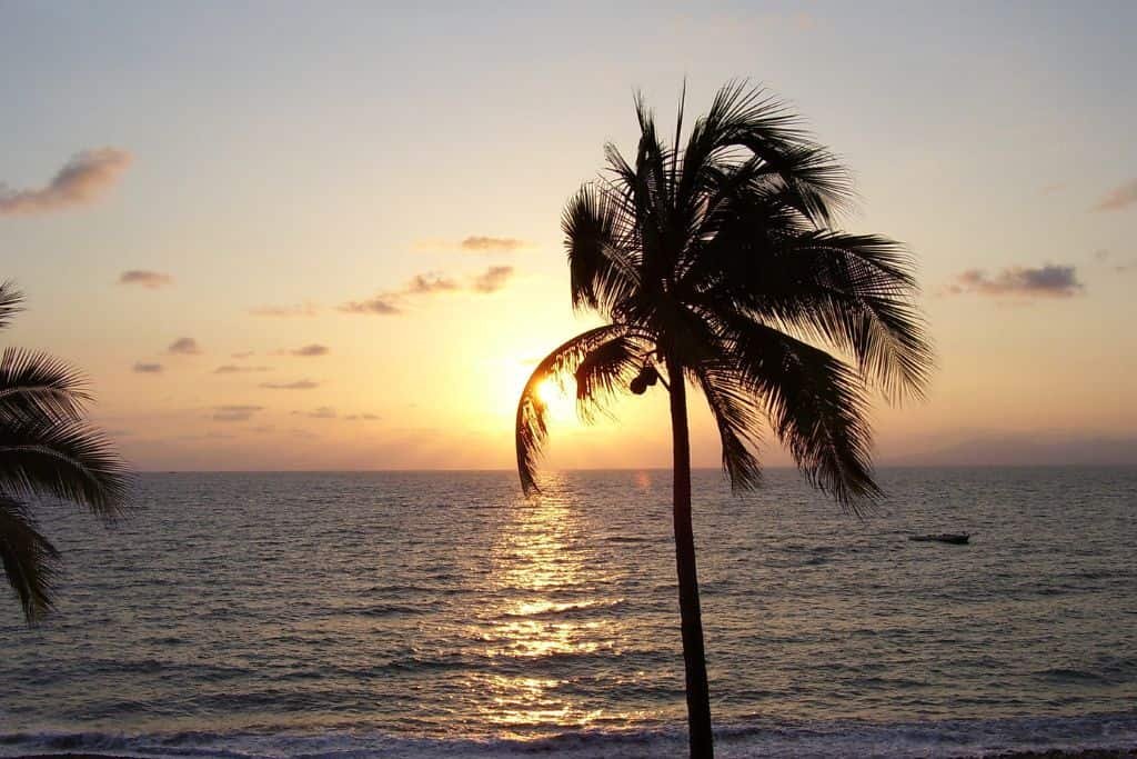 A serene sunset over the ocean, with the sun partially hidden behind a gently swaying palm tree. The sky is tinged with warm hues of orange and pink, reflecting off the calm water below.