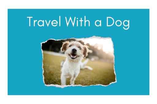 "Travel with a dog" written over a photo of a happy dog
