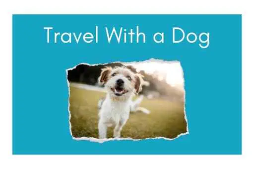 "Travel with a dog" written over a photo of a happy dog
