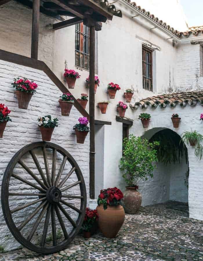 Christmas in Córdoba is subtly reflected in a charming whitewashed courtyard adorned with red poinsettias in terracotta pots. A rustic wagon wheel leans against the wall, adding traditional Andalusian flair to the festive floral display.