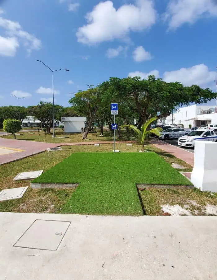A designated pet relief area at Cozumel Airport features a neatly trimmed patch of artificial grass marked by a sign with a dog icon. Surrounding the area are palm trees, parked cars, and walkways under a bright blue sky with scattered clouds.