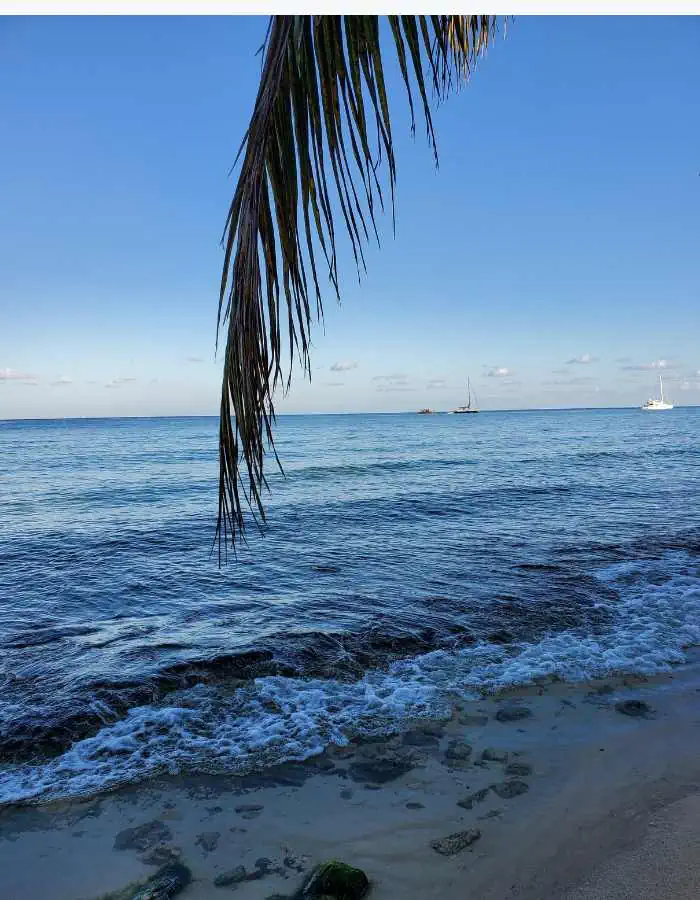 A peaceful beach scene in downtown Cozumel with gentle waves lapping against the sandy shore, a few scattered rocks and seaweed, and a palm frond hanging into the frame. Sailboats are visible on the horizon under a clear blue sky.