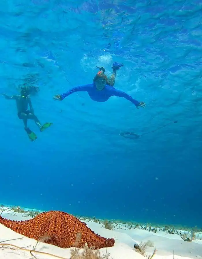 Two snorkelers glide through the crystal-clear turquoise water at El Cielo in Cozumel, with one large orange starfish visible on the white sandy seafloor below. Sunlight filters through the water, highlighting the vibrant underwater scene.