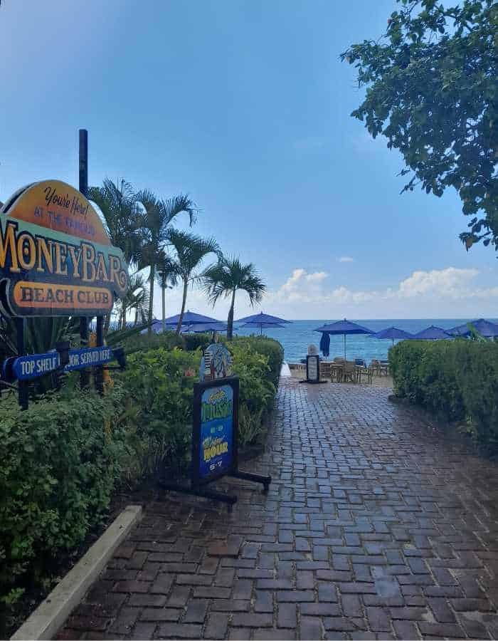 Entrance to the Money Bar Beach Club in Cozumel, with a brick path leading past tropical greenery and signs toward rows of blue beach umbrellas set up by the ocean. The sea is calm under a clear sky with soft clouds.