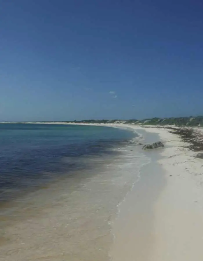 A quiet, unspoiled stretch of Playa Bonita in Cozumel with soft white sand curving along the shoreline, gentle turquoise waves, and sparse vegetation under a deep blue sky.