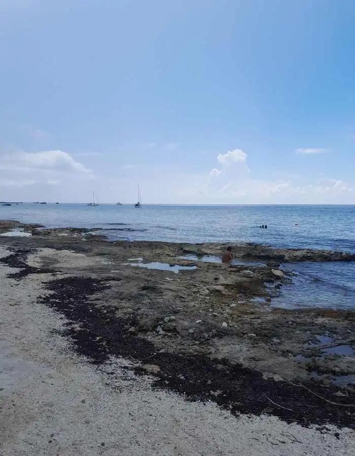 A rocky shoreline at Stingray Beach in Cozumel with patches of seaweed and shallow tidal pools, looking out toward calm blue waters with sailboats in the distance. A few swimmers are visible enjoying the sea under a mostly clear sky.