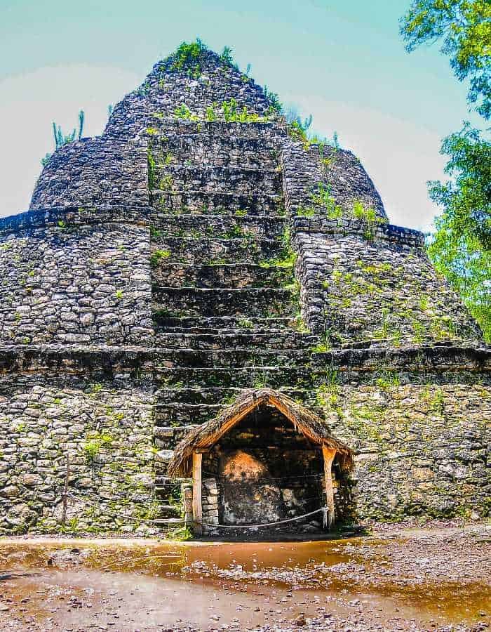 Large ancient stone pyramid with a small thatched-roof entrance sits in a jungle clearing. Moss and plants grow along the weathered stones, highlighting its age and historical significance.
