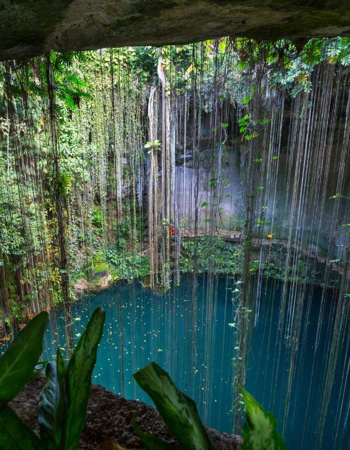 Natural cenote with turquoise water is surrounded by hanging vines and lush jungle vegetation. Sunlight filters through the opening above, illuminating the rocky walls and serene pool below.