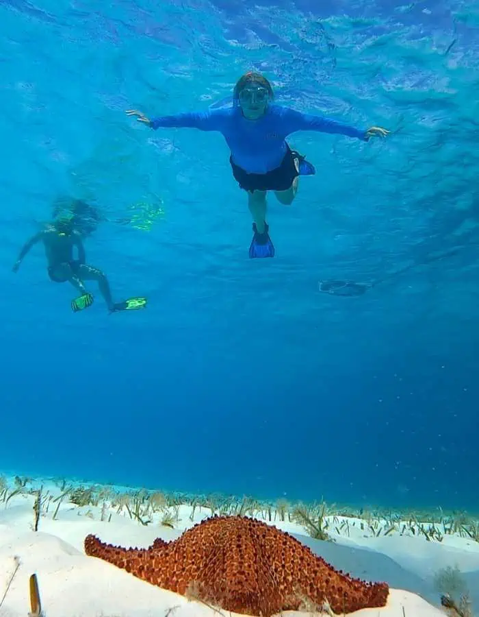 Snorkeler in clear blue water over a sea star.