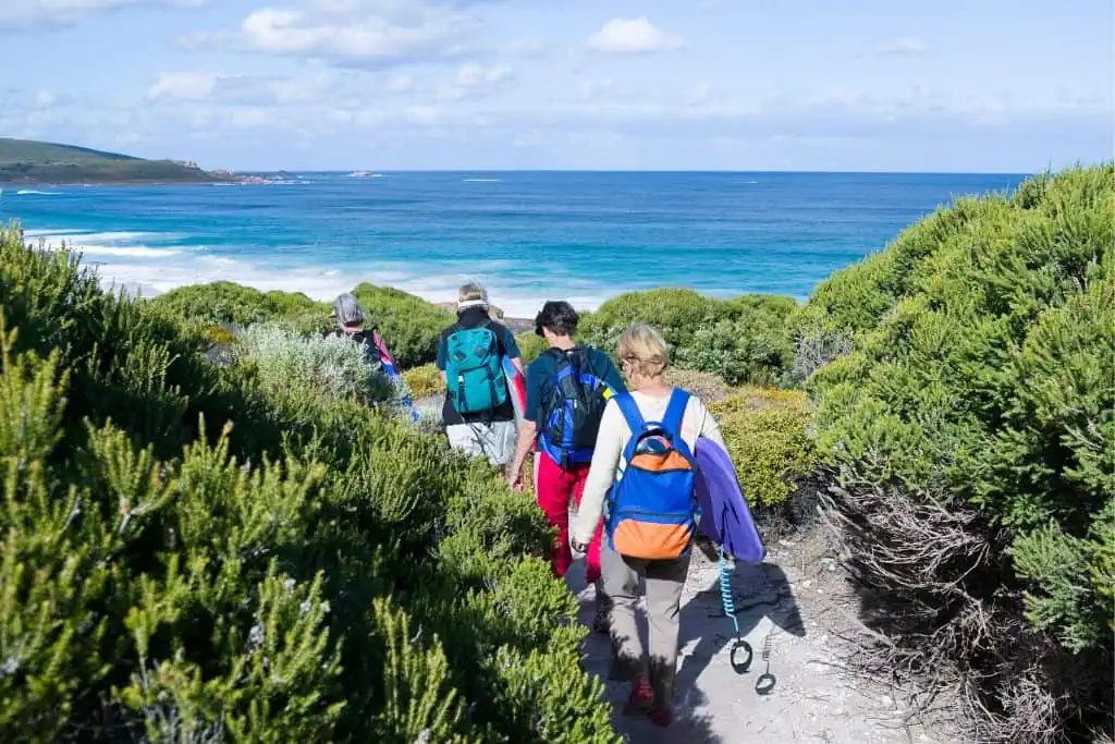 People hiking in Cozumel on a path leading to the ocean.