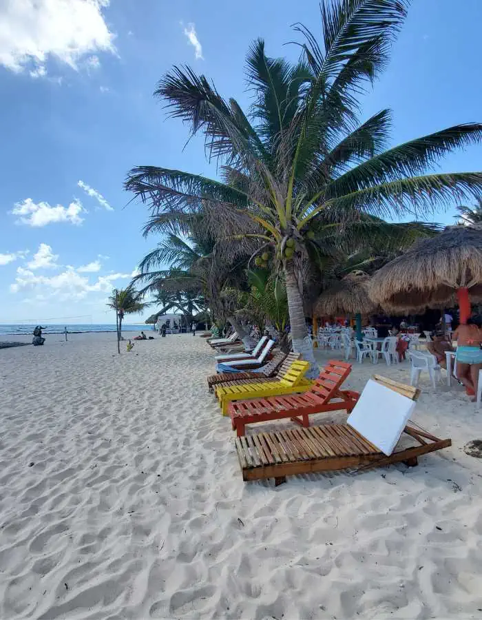 A sandy beach lined with colorful wooden lounge chairs under the shade of tall palm trees. In the background, a beach club with thatched-roof structures and people can be seen.
