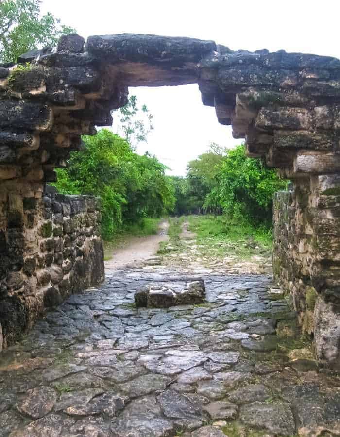 Stone archway frames a cobblestone path leading into dense green jungle. Weathered stones suggest an ancient ruin or historical site.