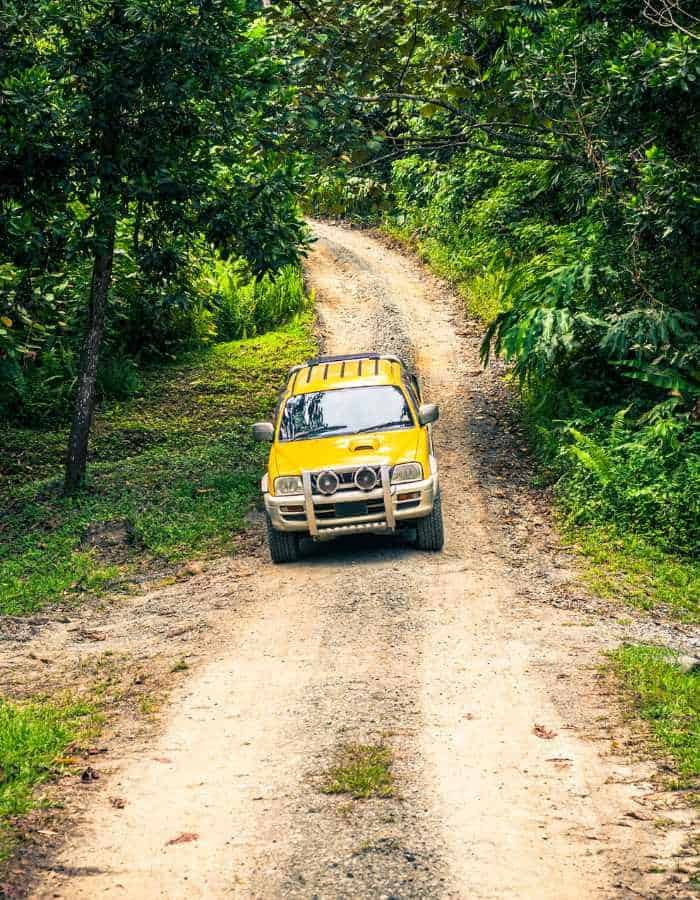Yellow off-road vehicle drives along a winding dirt road through dense green jungle. Sunlight filters through the trees, highlighting the rugged path ahead.