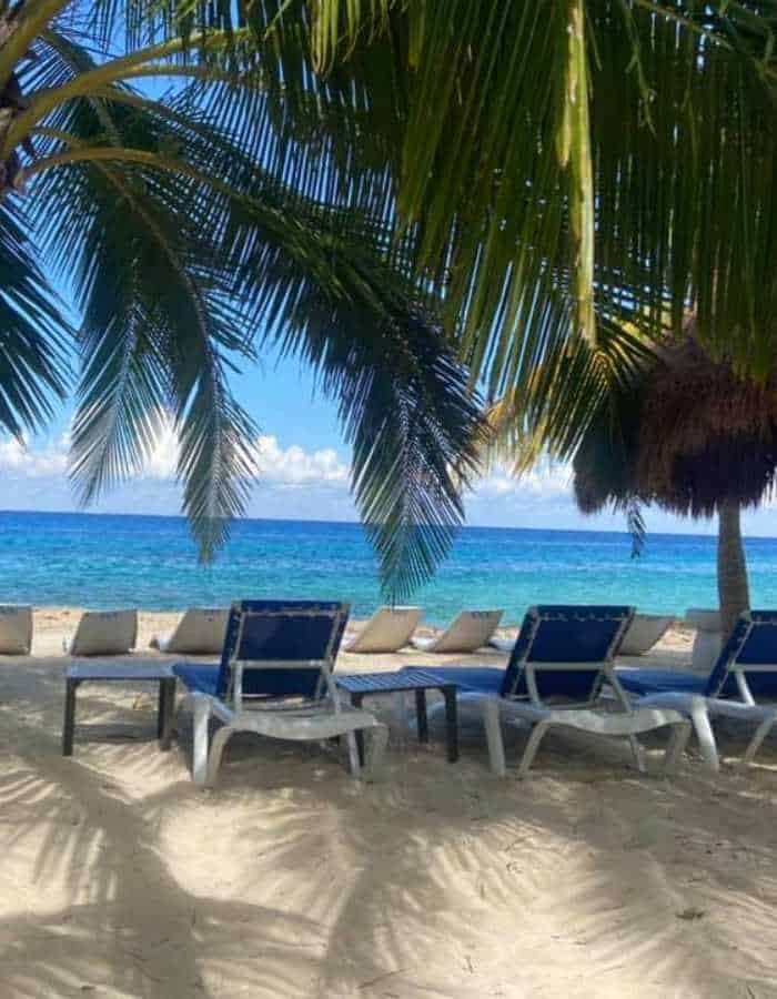 A tranquil beach scene at Buccanos in Cozumel, Mexico, featuring blue lounge chairs lined up on soft white sand under the shade of swaying palm trees. The turquoise ocean stretches to the horizon, with gentle waves lapping at the shore. Sunlight filters through the palm fronds, casting dappled shadows for a perfect tropical getaway ambiance.