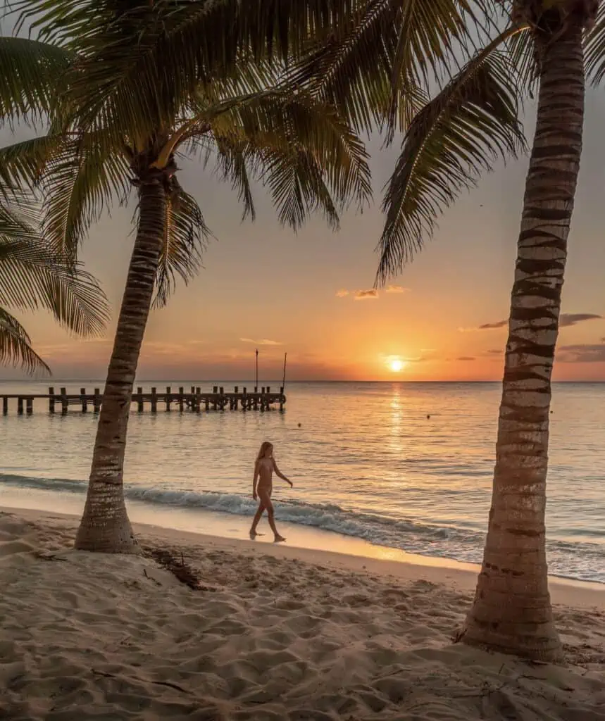 A person walks along a sandy beach at sunset, framed by leaning palm trees and the soft glow of the golden sky. Gentle waves touch the shore, and a wooden pier stretches into the ocean in the background, creating a peaceful tropical scene.