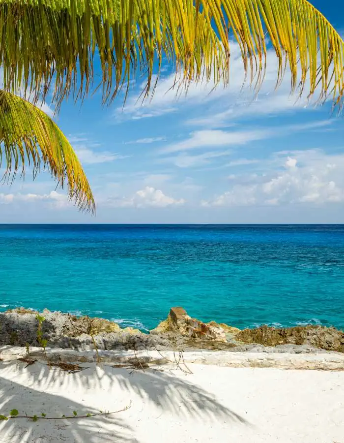 A peaceful tropical beach scene with soft white sand, turquoise blue ocean, and palm fronds casting shadows in the foreground. Rocky shoreline edges meet the clear water under a bright sky with scattered clouds.