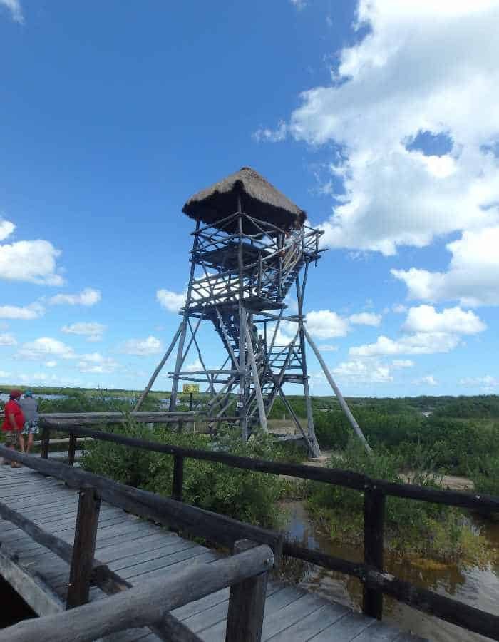 A tall wooden observation tower with a thatched roof rises above lush green wetlands at Punta Sur, with a wooden walkway leading toward it under a bright blue sky filled with scattered clouds. A few visitors can be seen approaching the tower.