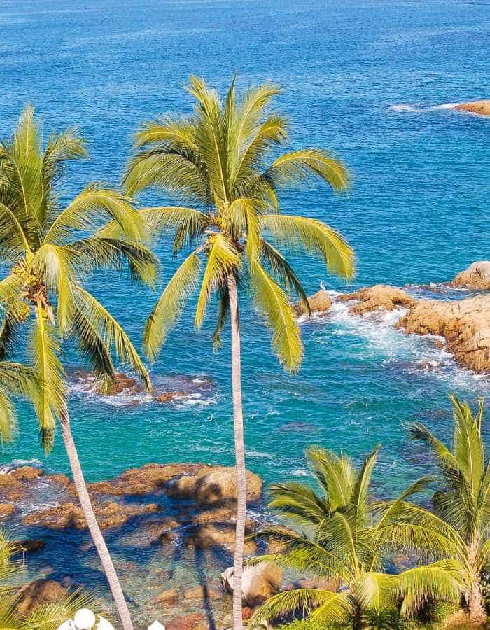 Tall palm trees sway gently above the clear blue waters hugging the rocky coast of Puerto Vallarta, painting a picturesque tropical scene infused with the serenity of nature's untouched beauty.