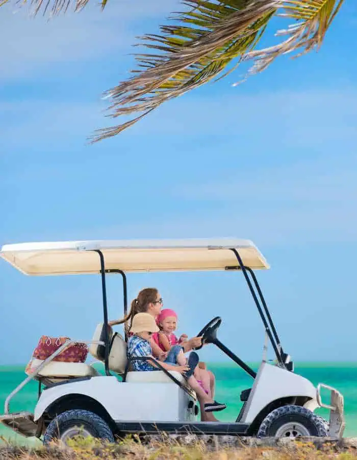 A woman and a child enjoy a sunny beach day, riding in a white golf cart with a backdrop of turquoise waters and a swaying palm frond overhead.