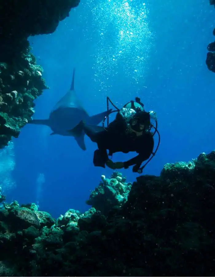 A scuba diver in close proximity to a large shark underwater, framed by coral outcroppings with beams of sunlight streaming through the water above.