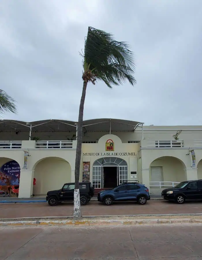 The front entrance of the Museo de la Isla de Cozumel features a cream-colored building with arched doorways, a central staircase, and a palm tree swaying in the wind. Several parked cars line the street, and festive banners decorate the museum facade.