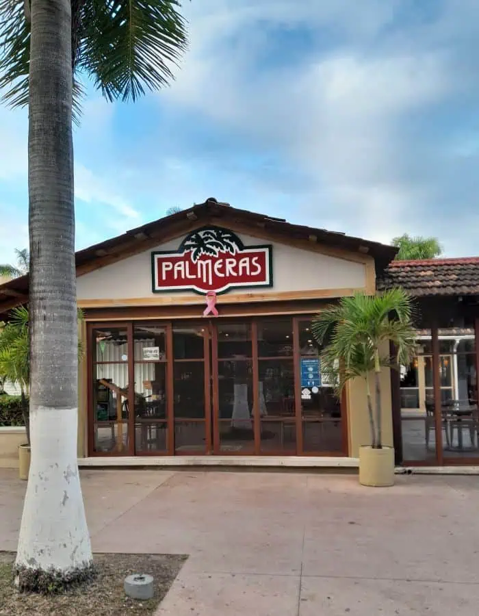 The exterior of Palmeras restaurant in Cozumel features a wood-framed glass facade, a palm tree logo above the name in bold red letters, and a pink ribbon symbol displayed below. Potted palm trees and a tall trunk in the foreground enhance the tropical, welcoming vibe.