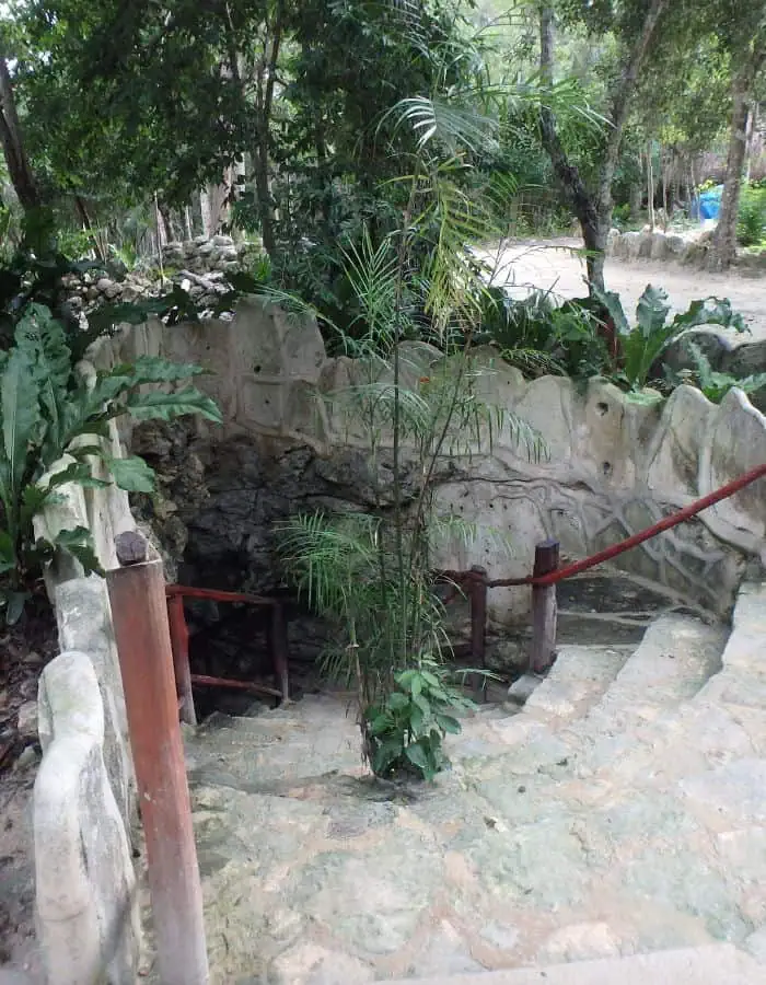 This image showcases a stone staircase leading down into a cenote at Cenotes Casa Tortuga in Tulum, Mexico. The entrance is surrounded by lush greenery and natural rock formations, with a rustic wooden handrail guiding visitors downward.