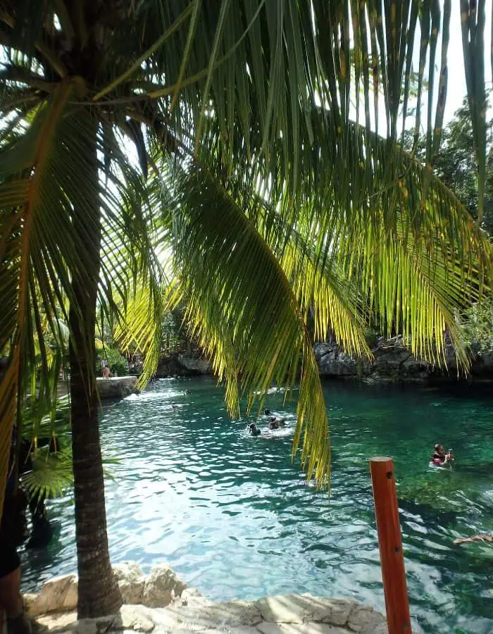 This image captures a serene scene at Cenotes Casa Tortuga in Tulum, Mexico, with a view partially framed by lush palm fronds. The turquoise water of the cenote sparkles under the sunlight as visitors swim and relax in the refreshing natural pool. A rustic stone pathway and wooden railing lead to the water’s edge.