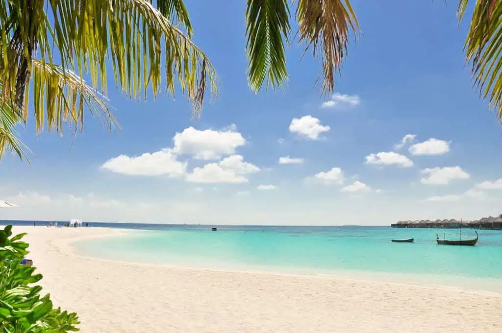 Serene beach with turquoise waters, white sand, and palm trees under a sunny sky, perfect for relaxation.