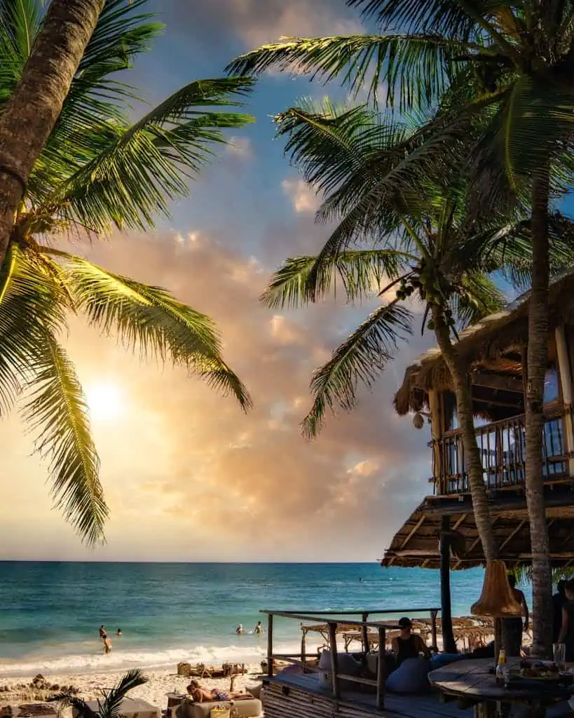 Stunning sunset view at a beach in Mexico, showcasing coconut palms and tranquil ocean.