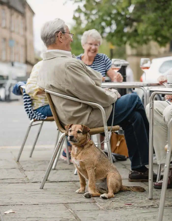 A small brown terrier sits patiently on a leash beside a group of older adults enjoying drinks at an outdoor café table on a stone-paved sidewalk. The people are smiling and chatting, creating a warm, relaxed atmosphere in what looks like a charming town setting.
