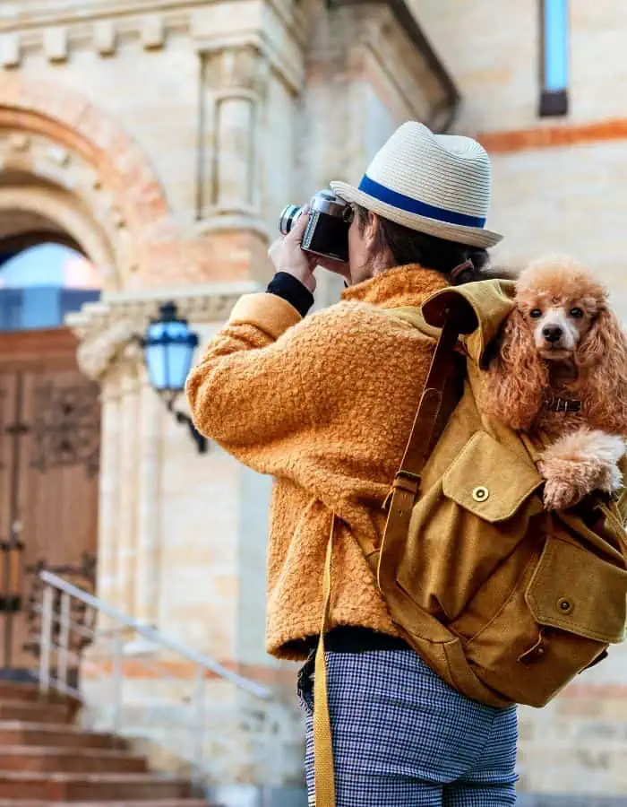 A person wearing a tan sherpa jacket and a white hat with a blue band takes a photo with a vintage camera in front of a historic stone building. A small apricot poodle peeks out from a mustard-colored backpack, looking directly at the camera with a calm expression.