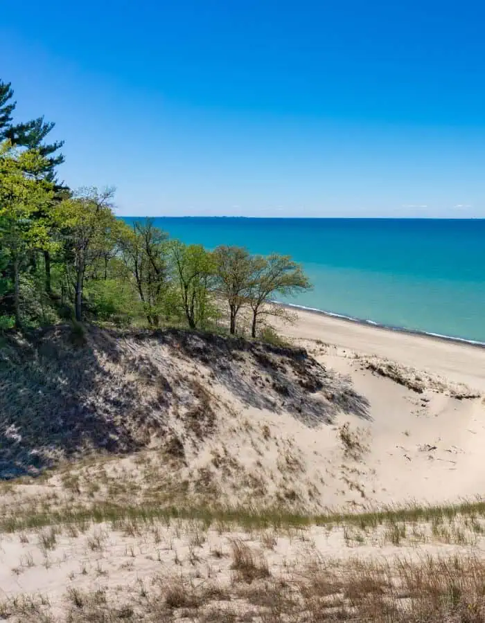 Rolling sand dunes lead down to the turquoise shoreline of Lake Michigan at Indiana Dunes National Park, where a line of trees marks the transition from forest to beach under a vibrant blue sky. The scene blends coastal beauty with Midwest wilderness, offering a peaceful and open natural vista.