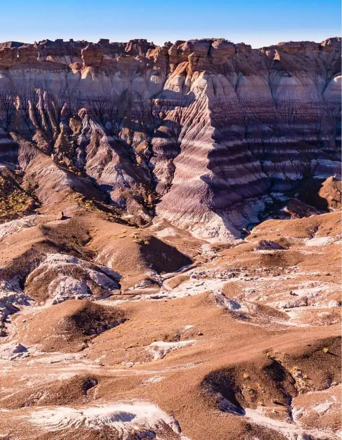 Layered, striped rock formations rise sharply from the desert floor in this vivid view of Petrified Forest National Park, showcasing bands of purple, brown, and white sediment under a clear blue sky. The eroded badlands and ridges create a surreal, otherworldly landscape shaped by time and geological forces.