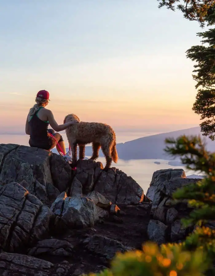A woman in athletic gear sits on a rocky mountain peak at sunset, gently resting her hand on a fluffy dog standing beside her, both gazing out over a calm, pastel-colored seascape and distant islands. The peaceful moment is framed by rugged rocks and pine tree branches, capturing a sense of adventure and serenity.